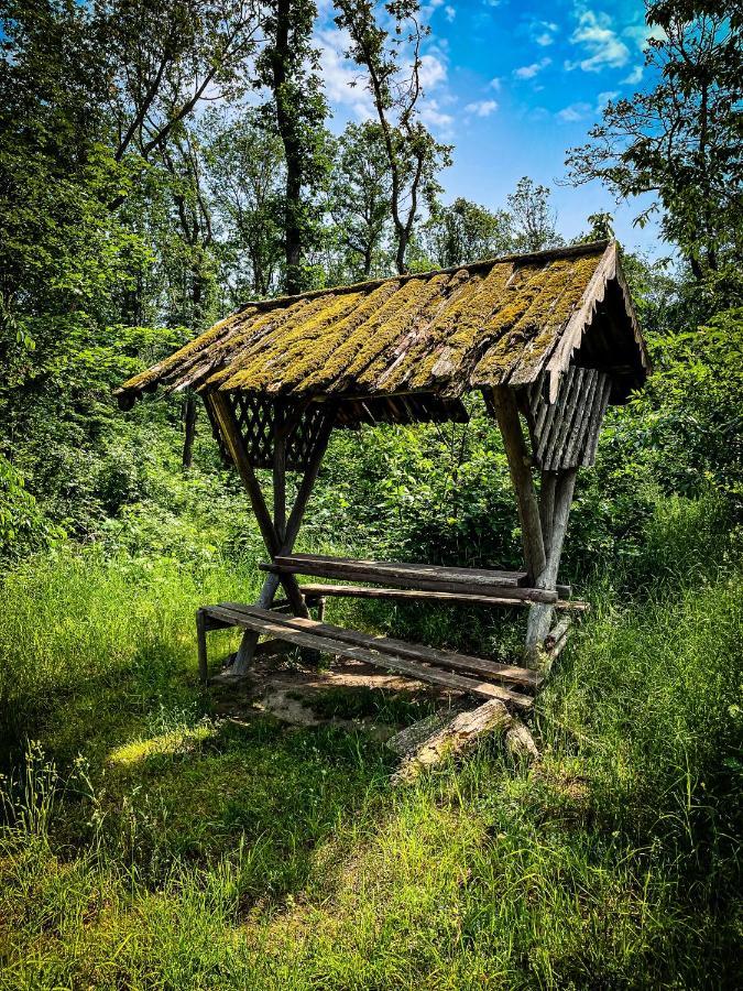 Gaestehaus An Der Berbke Arnsberg Kültér fotó